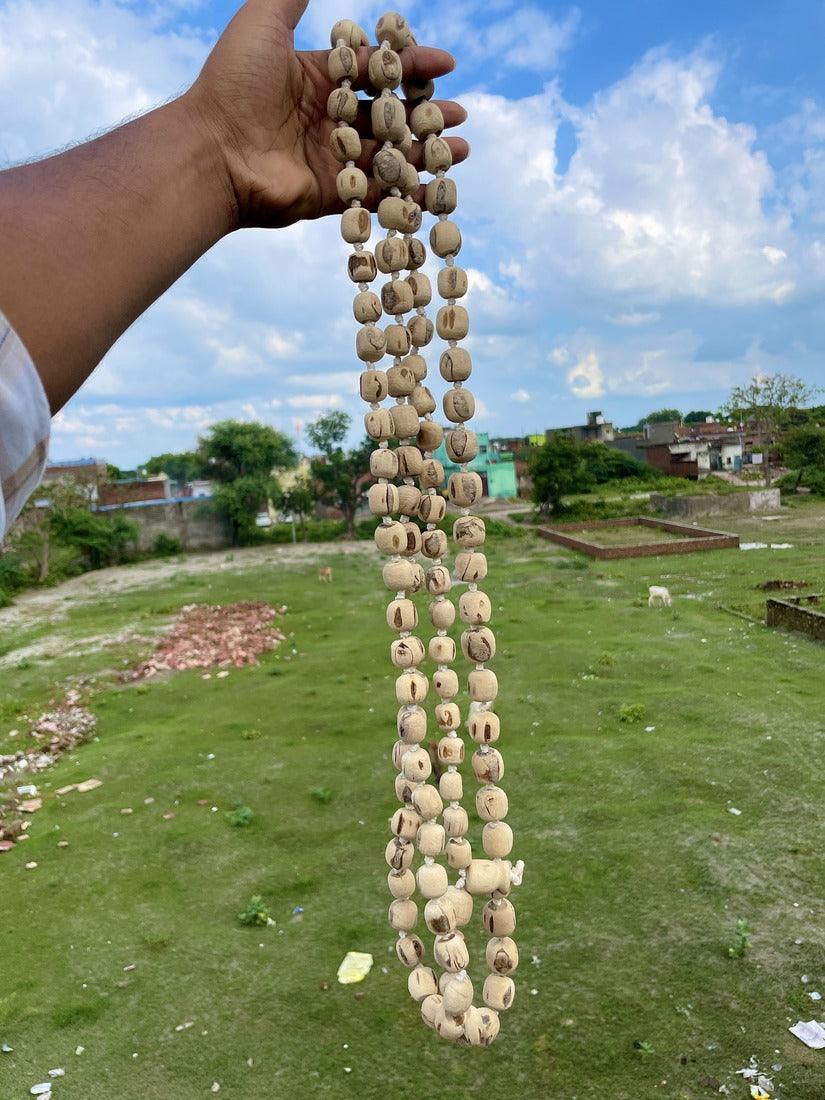 108+1 Big Size Original Tulsi JapMala-Sarpakar Beads - Image 2